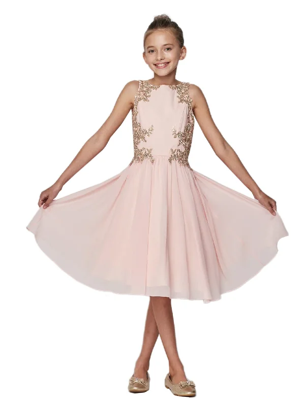 Trend Alert Girls Blush Chiffon Lace Junior Bridesmaid Dress 4-10 Great Deals on Ethnic Cultural Wear